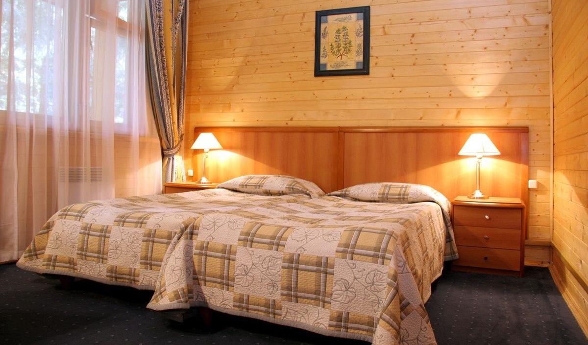 Дачный отель «Истра Holiday» Московская область Стандартный номер (Standard)